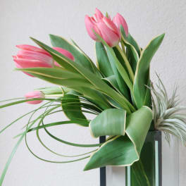 Pink tulips arranged in a tall glass vase with long green leaves