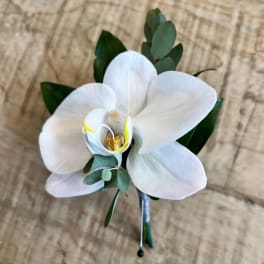 White orchid boutonniere with green leaves