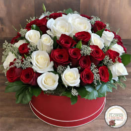 Red and white roses arranged in a round red box