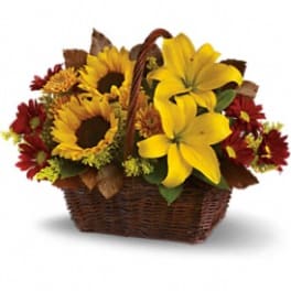 Basket arrangement with sunflowers, yellow lilies, and red daisies