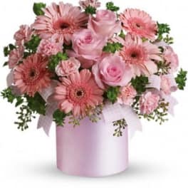 Pink roses and gerbera daisies in a pink hatbox