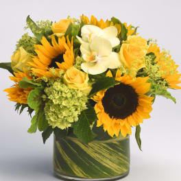 Bouquet of sunflowers, yellow roses, and white orchids in a glass vase