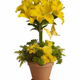 Yellow lilies and roses arranged in a terracotta pot with a butterfly decoration.
