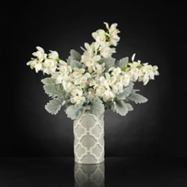 White orchid arrangement in a patterned vase