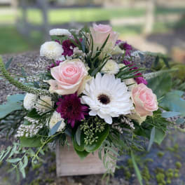 Pink roses and white daisies in a low bouquet