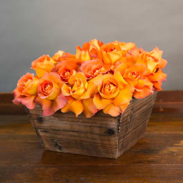 Orange roses arranged in a rustic wooden basket
