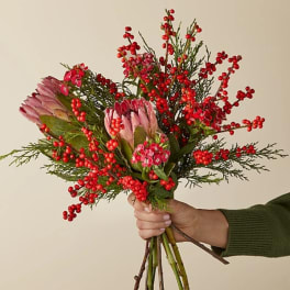 Handheld bouquet with pink protea and red berry stems