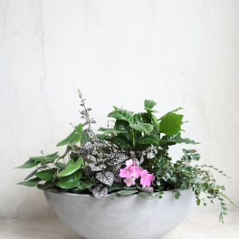 Low planter with mixed green plants and small pink flowers in a gray bowl