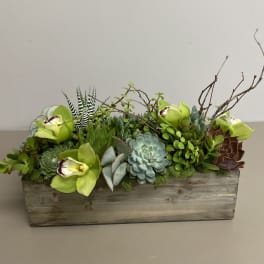 Low wooden box planter filled with assorted succulents and green orchids with branches.