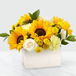 Sunflower and white rose arrangement in a white box