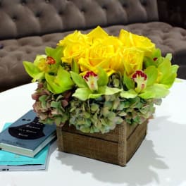 Yellow roses and green orchids in a square burlap-covered box