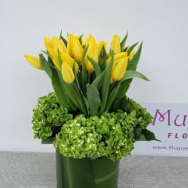 Yellow tulips arranged in a green glass vase with green hydrangeas