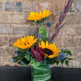 Sunflower arrangement in a green glass vase with burgundy foliage