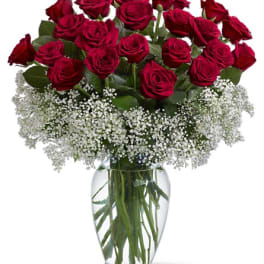 Red roses with white baby's breath in a clear glass vase