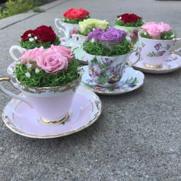 Teacups filled with roses and moss on matching saucers