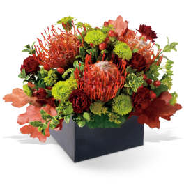 Autumn floral arrangement in a black square container with red and green blooms