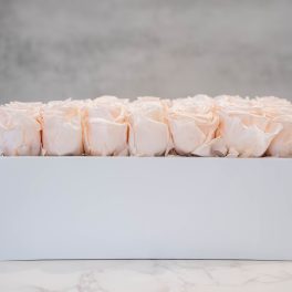 Blush Roses in white rectangle