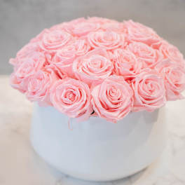 Pink Roses in Round White Container