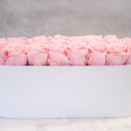 Pink Roses in Oval White Container
