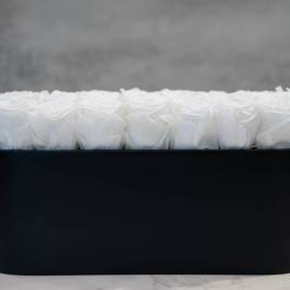 White Roses in Oval Black Container