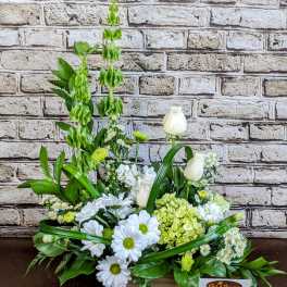 Rectangular arrangement of white daisies, white roses, green hydrangea, and tall green Bells of Ireland.