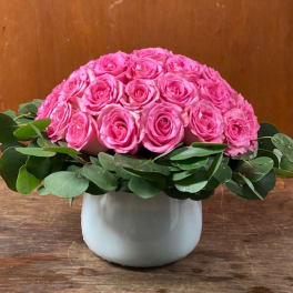 Low dome of bright pink roses with a ring of greenery in a white ceramic vase