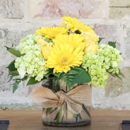 Yellow daisies and pale green hydrangeas in a glass vase with a burlap bow