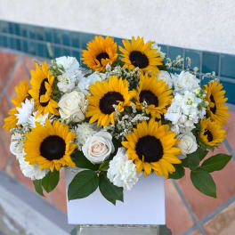 Bouquet of sunflowers, white roses, and white carnations in a white box