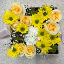 Yellow daisies and cream roses arranged in a square box