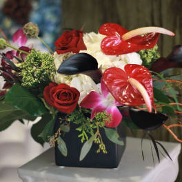 Arrangement of red roses, white hydrangeas, and red anthuriums in a black vase
