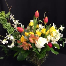 Tulip, Rose & Orchid Garden