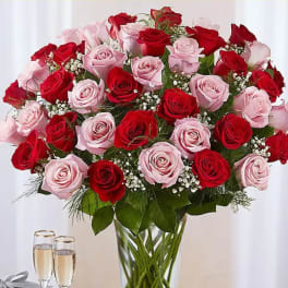 Bouquet of red and pink roses in a clear glass vase