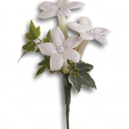 White flower boutonniere with green ivy leaves