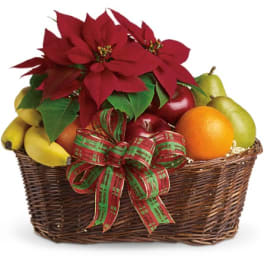 Fruit basket with poinsettias and a plaid ribbon