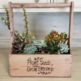 Wooden crate planter filled with assorted succulents