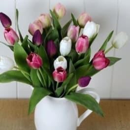 Bouquet of pink, white, and purple tulips in a white pitcher vase