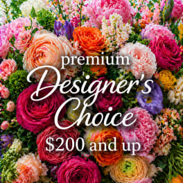 Premium Designer's Choice