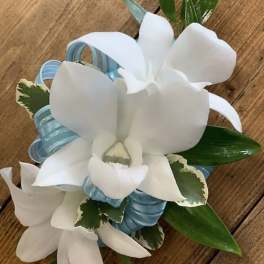 White orchid corsage with blue ribbon and green leaves