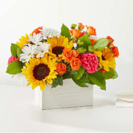 Bright mixed bouquet in a white box with sunflowers, roses, daisies, and carnations