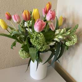 Tulip Garden