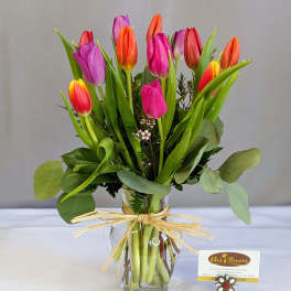 Tulip Bliss