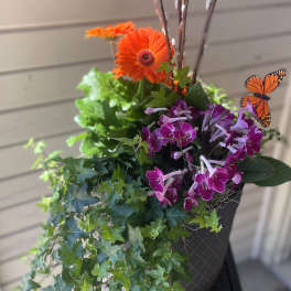 Orange gerbera daisies and purple orchids in a hanging planter with ivy