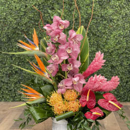 ISLAND BLOOM