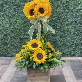 Sunflower arrangement in a wooden box with a ribbon bow