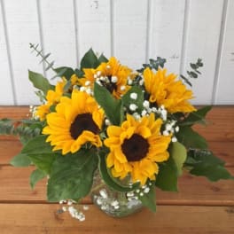 Sunflower bouquet in a clear glass vase with baby's breath