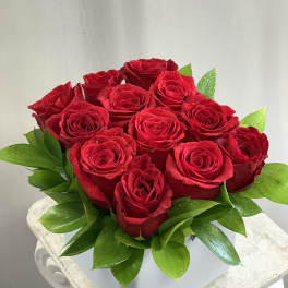 Modern Roses