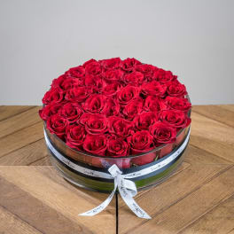 Rouge Luxury