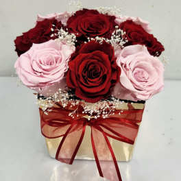 Amor Mio (PRESERVED ROSES)