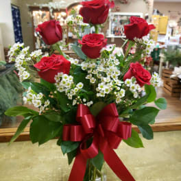 Half Dozen Red Roses