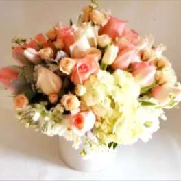 Peach and Vanilla